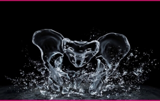 anatomy_digital_art_artwork_pelvis_Wallpaper_2560x1600_www.wallpaperswa.com