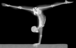 x-ray-handstand
